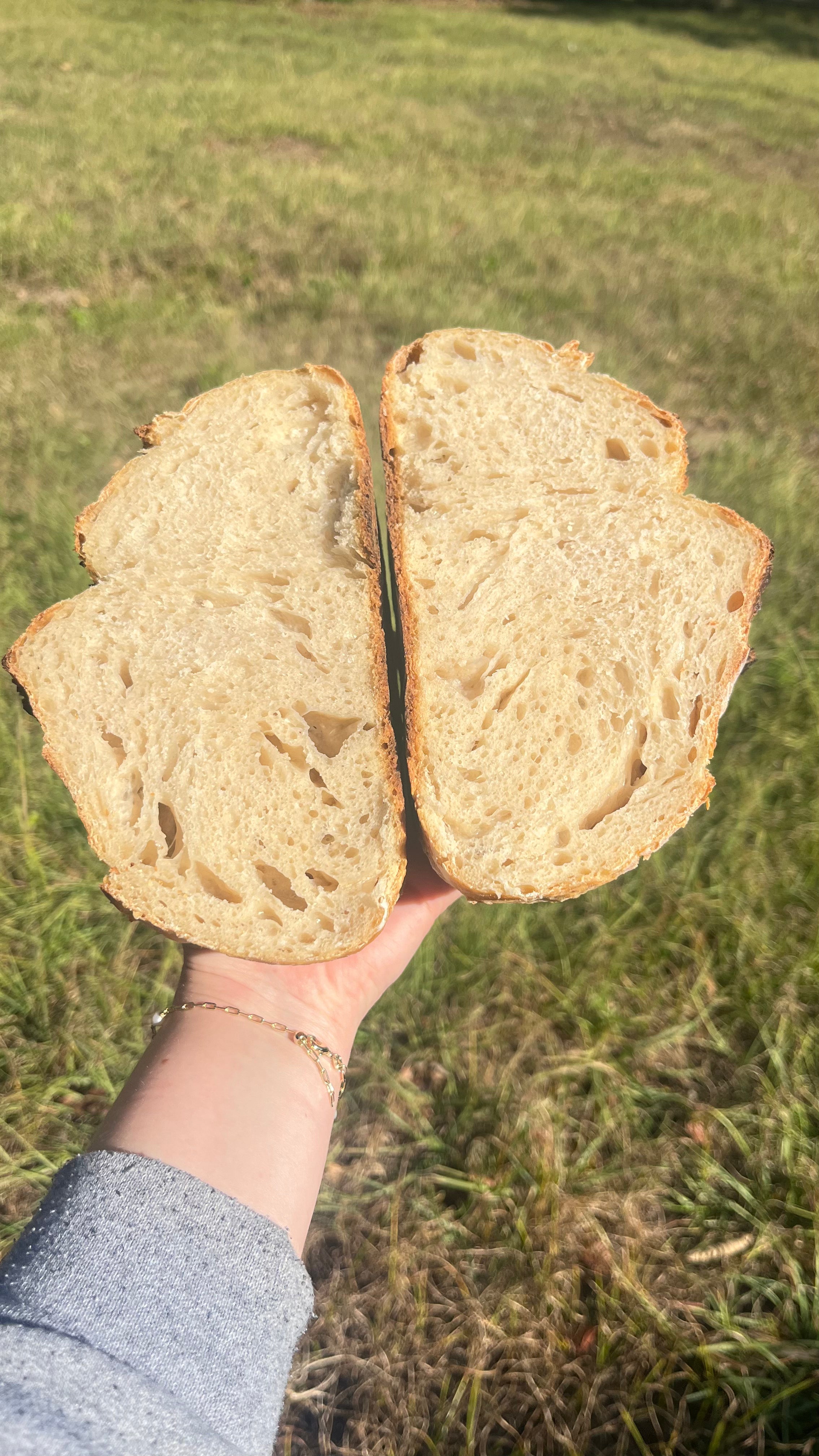 BEGINNER SOURDOUGH RECIPE